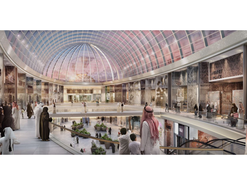 Organic Cotton Seeds