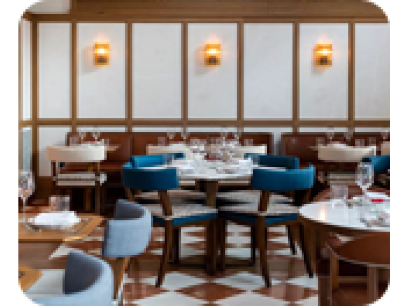 Dairy Cows Available - 44