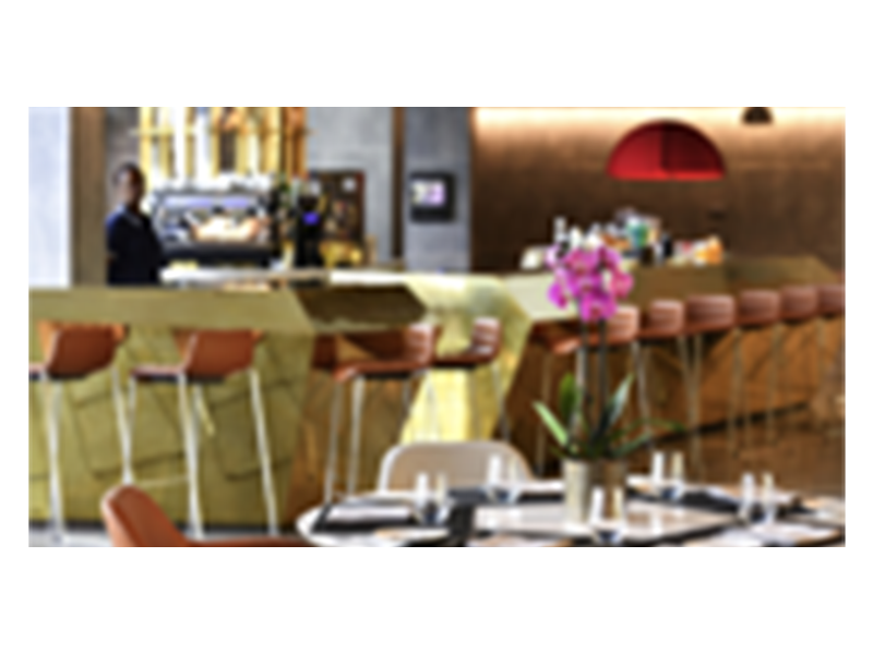 Cultivator - 9 Tines - 49