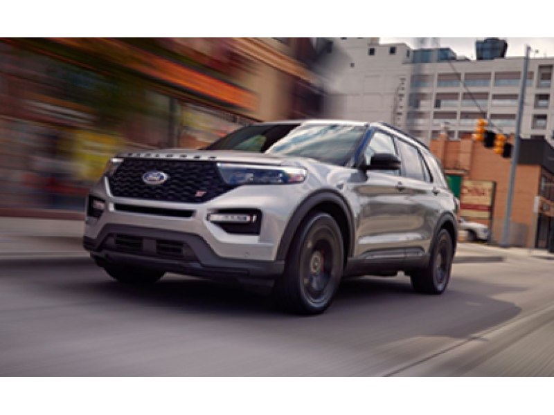 Wheat Seeds - Premium - 58