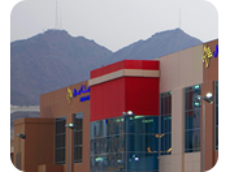 Fresh Organic Wheat - 71