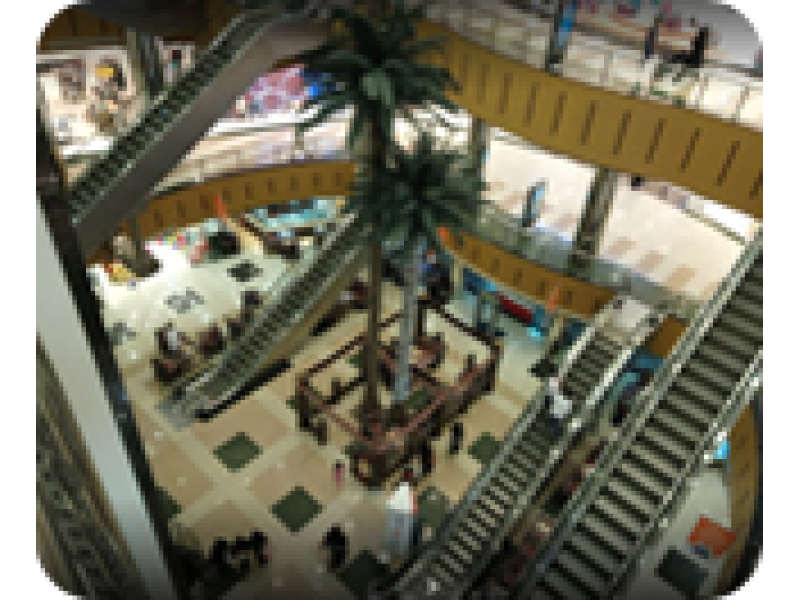 Rotavator for Sale - 82